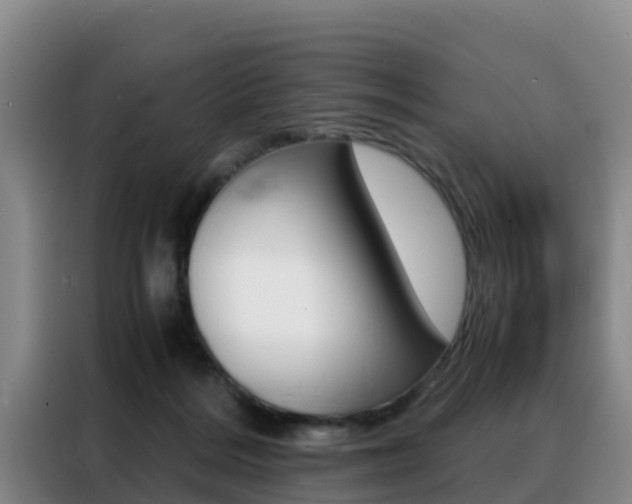 X0000088360220200705220739