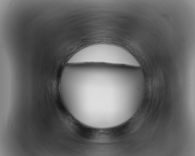 X0000088360222200705220739
