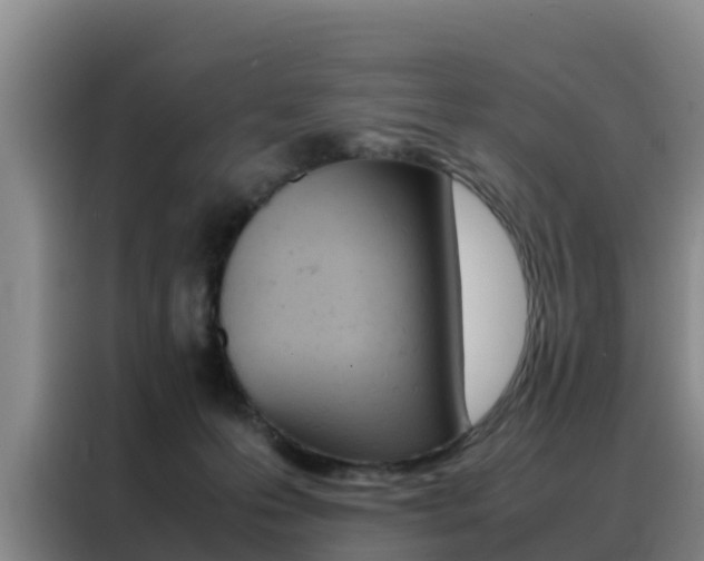 X0000088360223200705220739