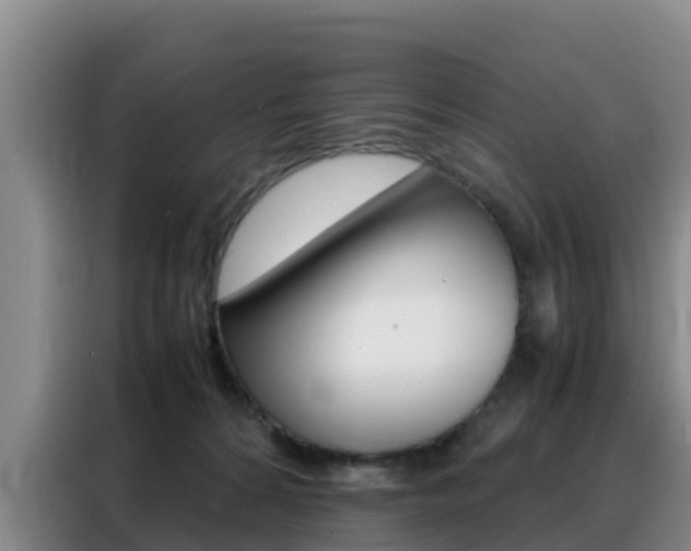 X0000088360224200705220739
