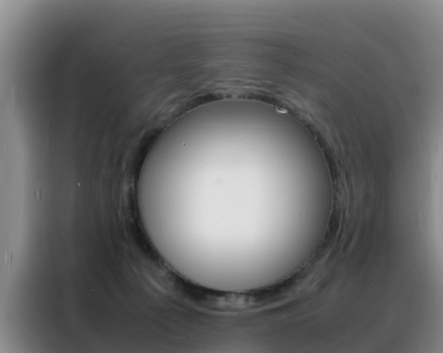 X0000088360225200705220739