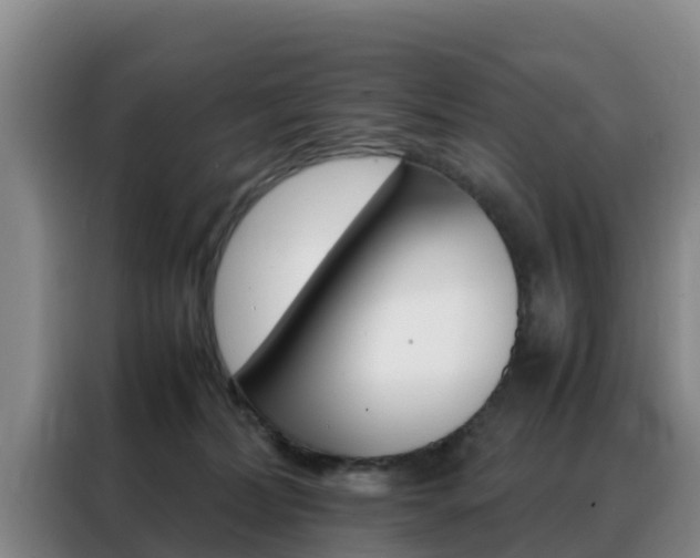 X0000088360228200705220739