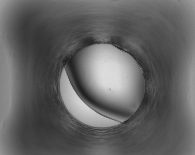 X0000088360229200705220739