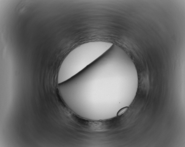 X0000088360230200705220739