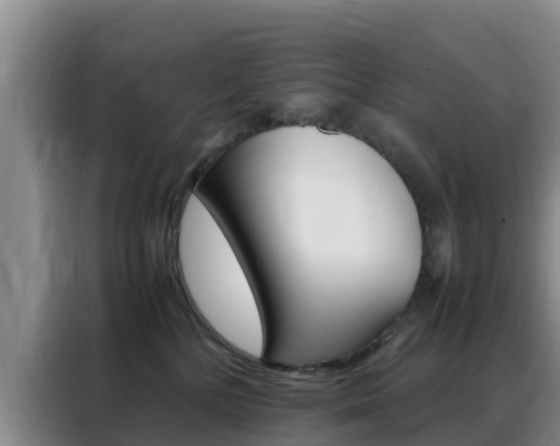 X0000088360232200705220739