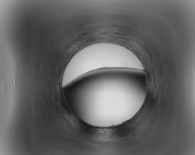 X0000088360233200705220739