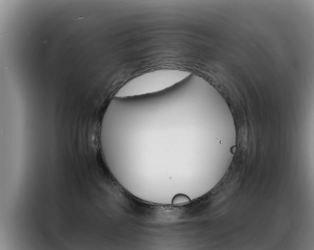 X0000088360234200705220739