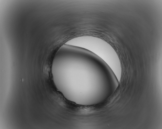 X0000088360235200705220739
