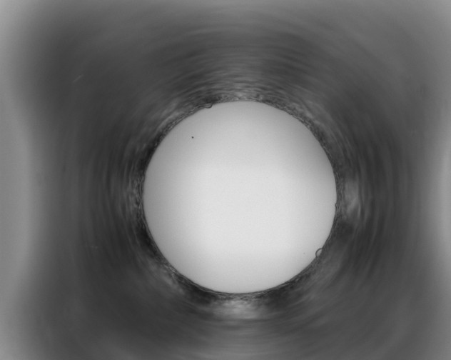 X0000088360236200705220739
