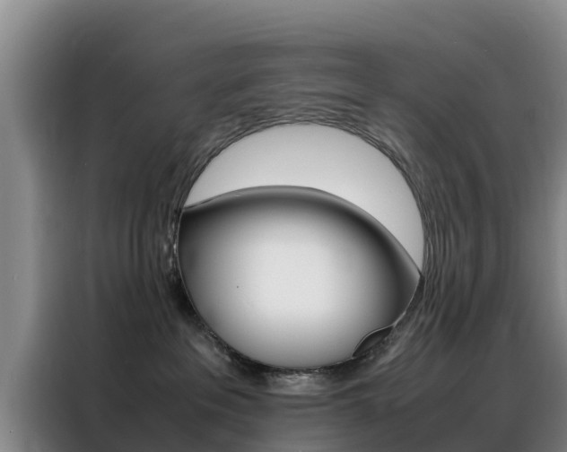 X0000088360237200705220739