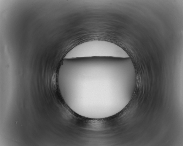 X0000088360238200705220739