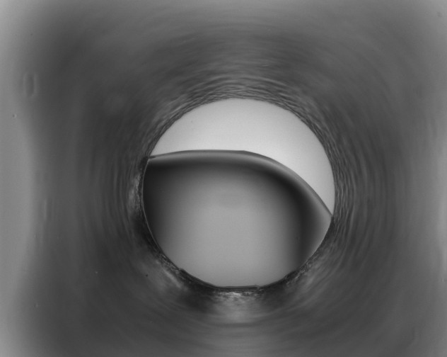 X0000088360239200705220739