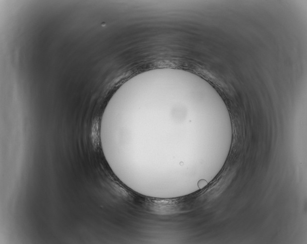 X0000088360240200705220739