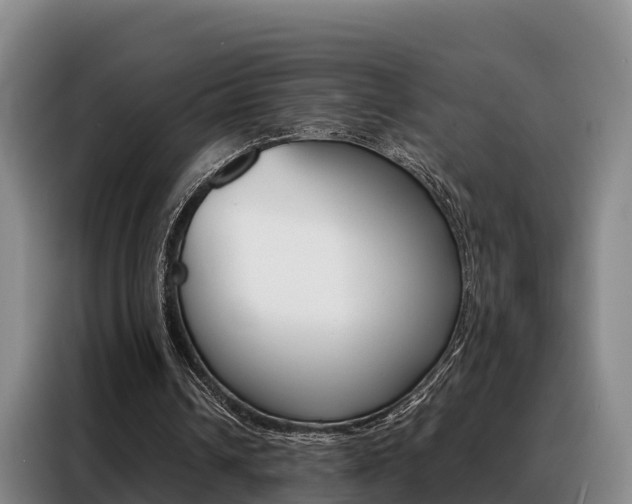 X0000088360242200705220738