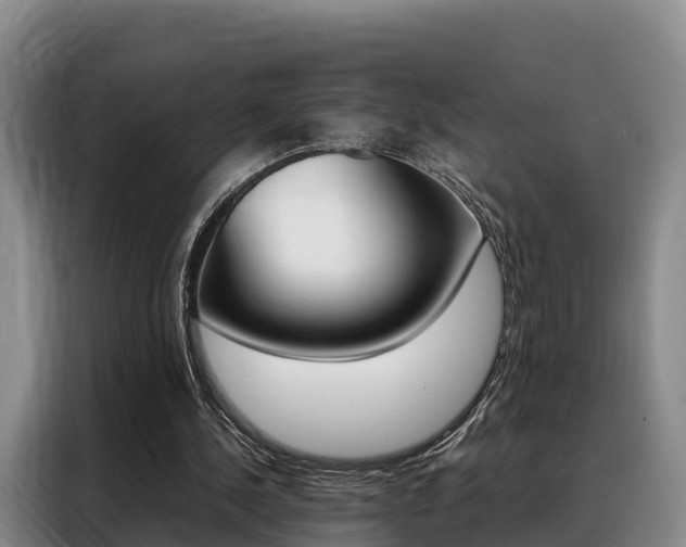 X0000088360244200705220738