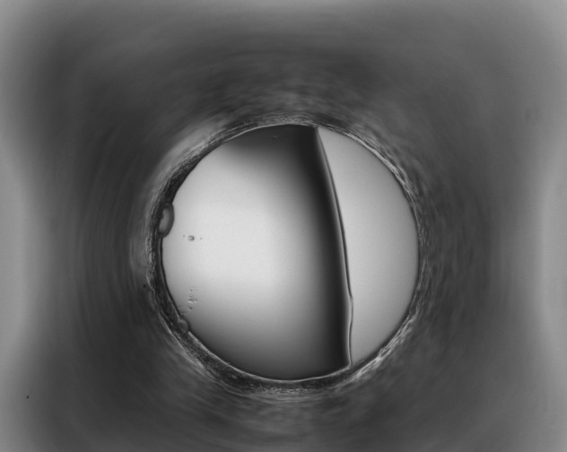 X0000088360245200705220738