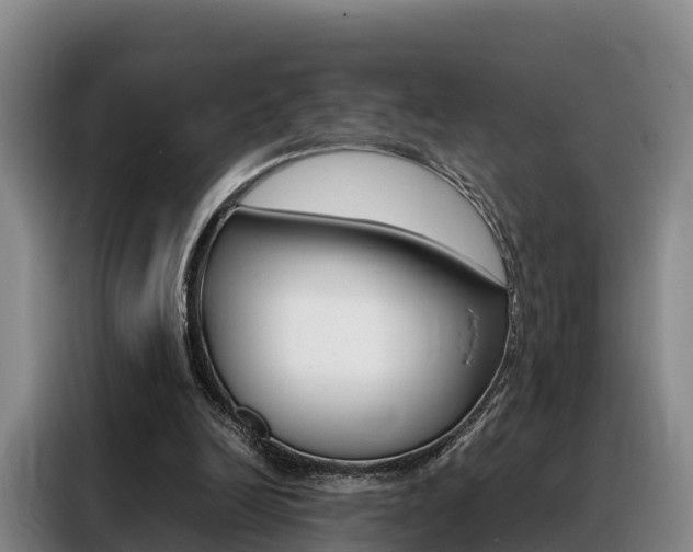 X0000088360246200705220738