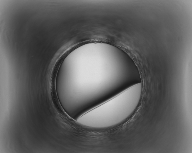 X0000088360247200705220738