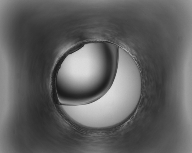 X0000088360248200705220738