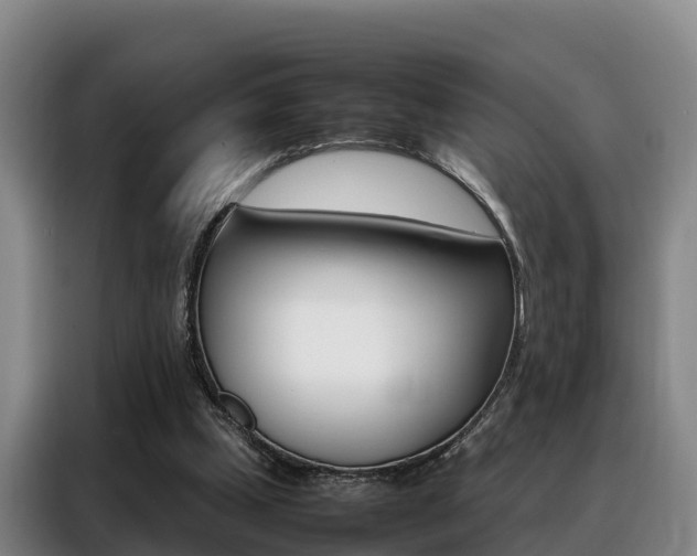 X0000088360249200705220738