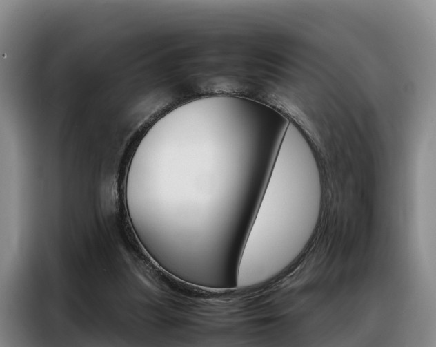 X0000088360251200705220738