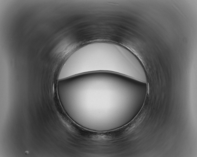 X0000088360253200705220738