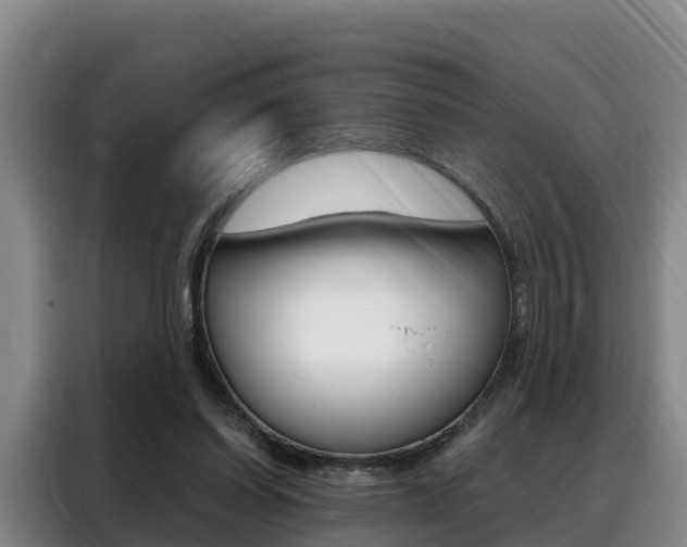 X0000088360254200705220739