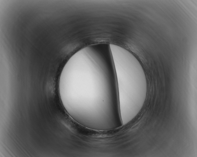 X0000088360255200705220739