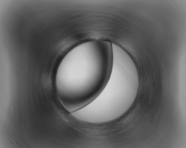 X0000088360256200705220739