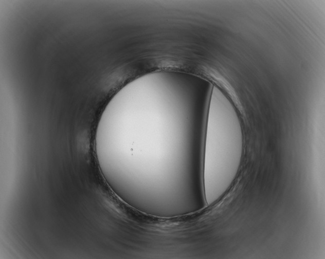 X0000088360257200705220739