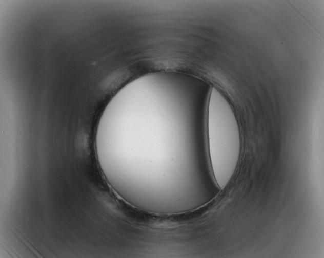 X0000088360258200705220739