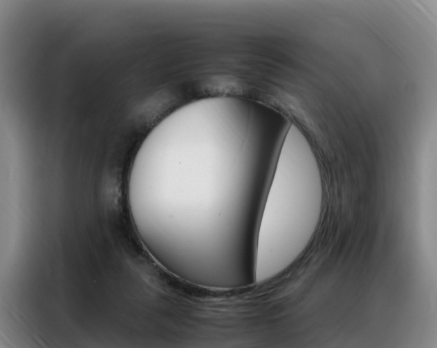 X0000088360259200705220739