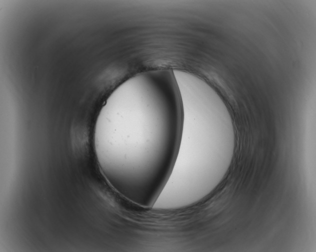 X0000088360260200705220739