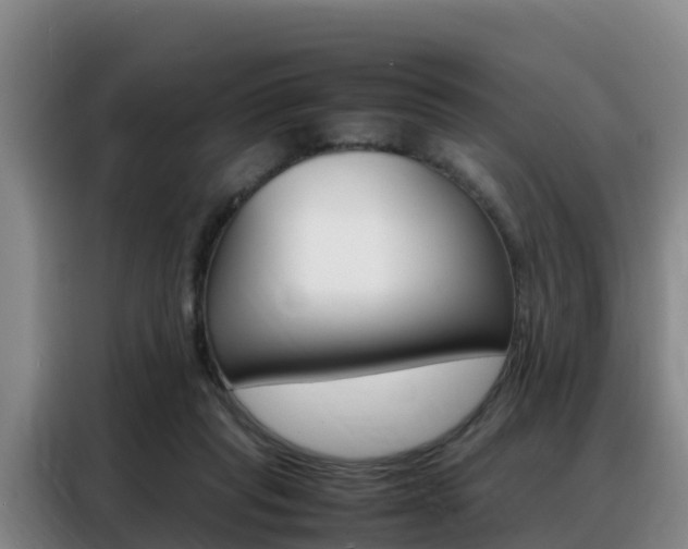 X0000088360261200705220739