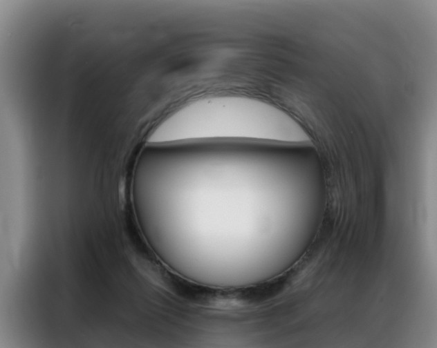 X0000088360262200705220739