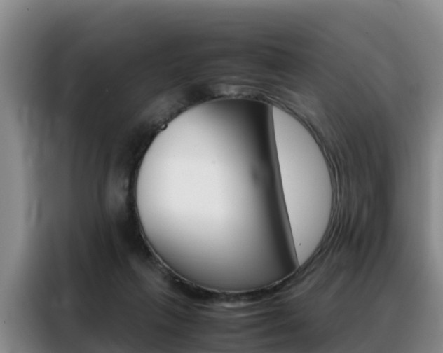 X0000088360263200705220739