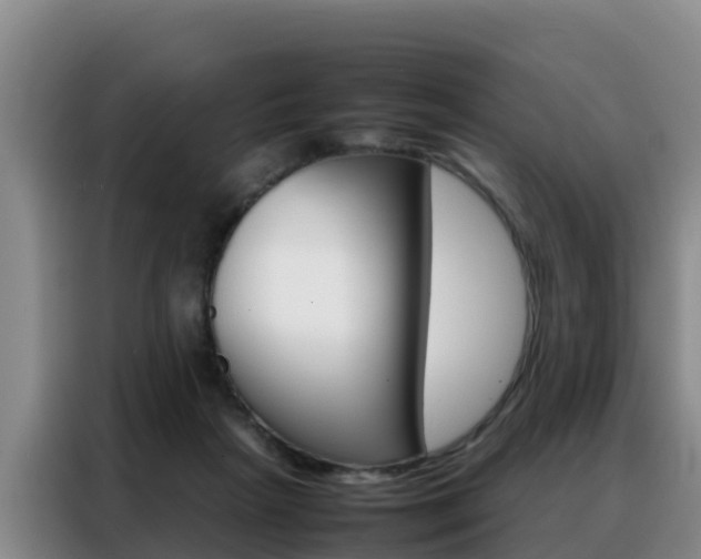 X0000088360265200705220739