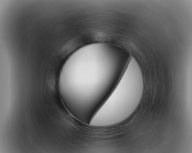 X0000088360266200705220739