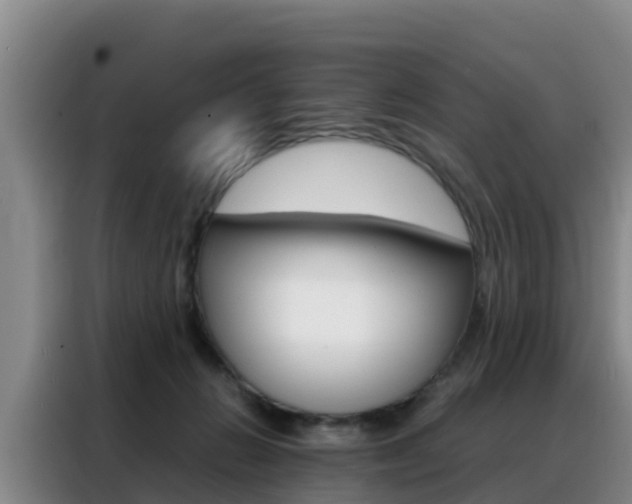 X0000088360270200705220739
