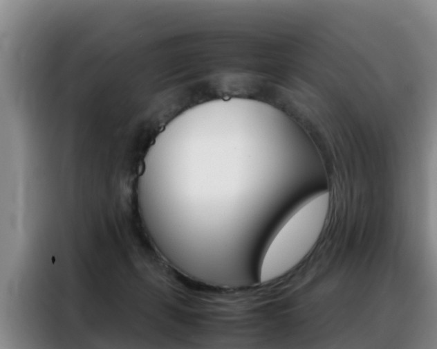 X0000088360271200705220739