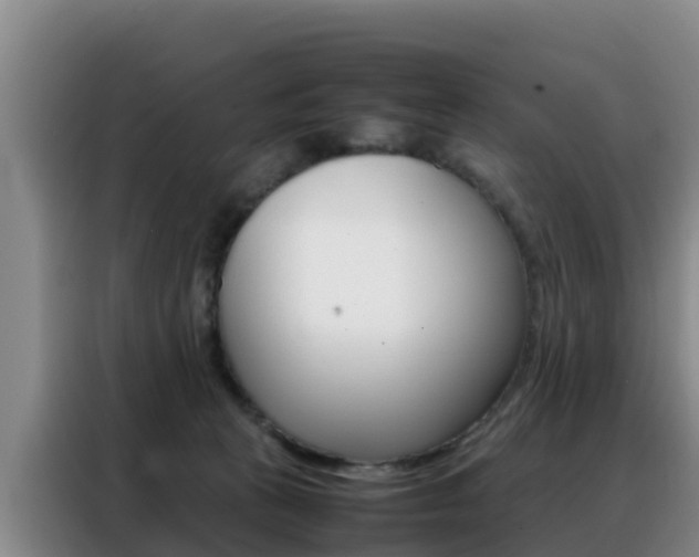 X0000088360273200705220739