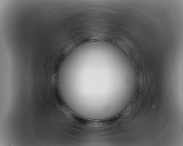 X0000088360276200705220739