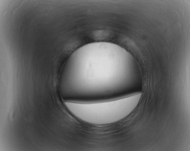 X0000088360277200705220739