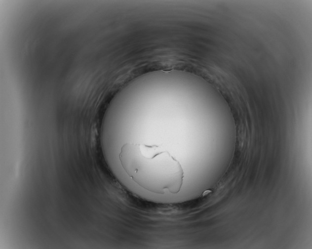 X0000088360279200705220739
