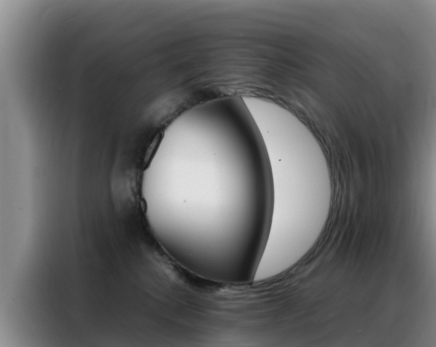 X0000088360280200705220739
