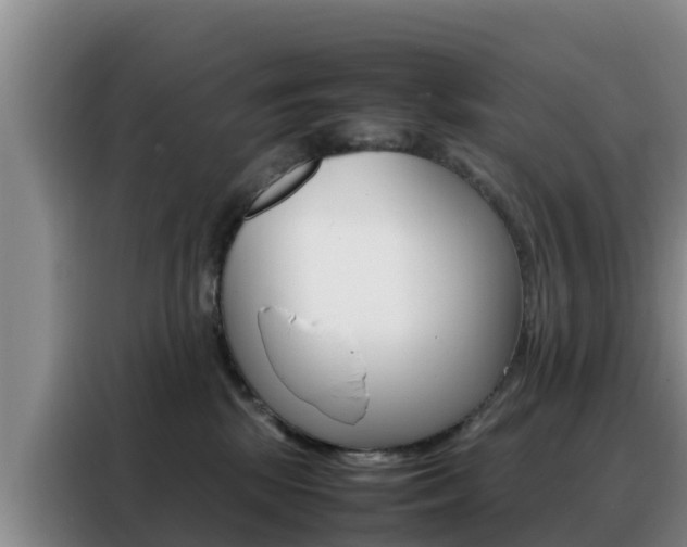 X0000088360281200705220739