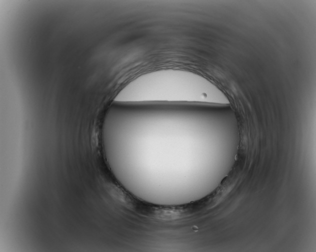 X0000088360282200705220739