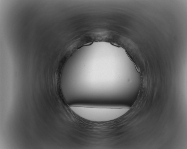 X0000088360283200705220739