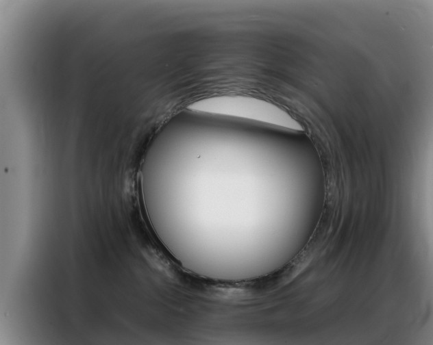 X0000088360284200705220739