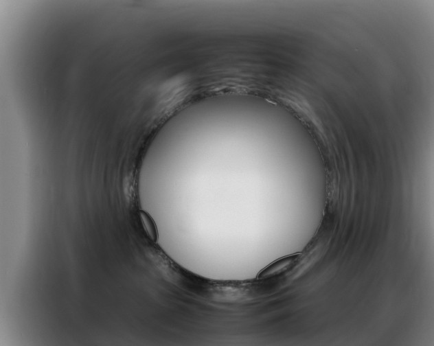 X0000088360285200705220739